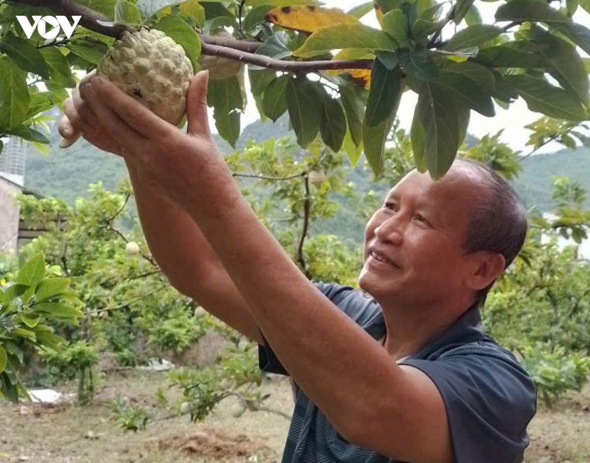 nong_dan_20260801141600.jpg