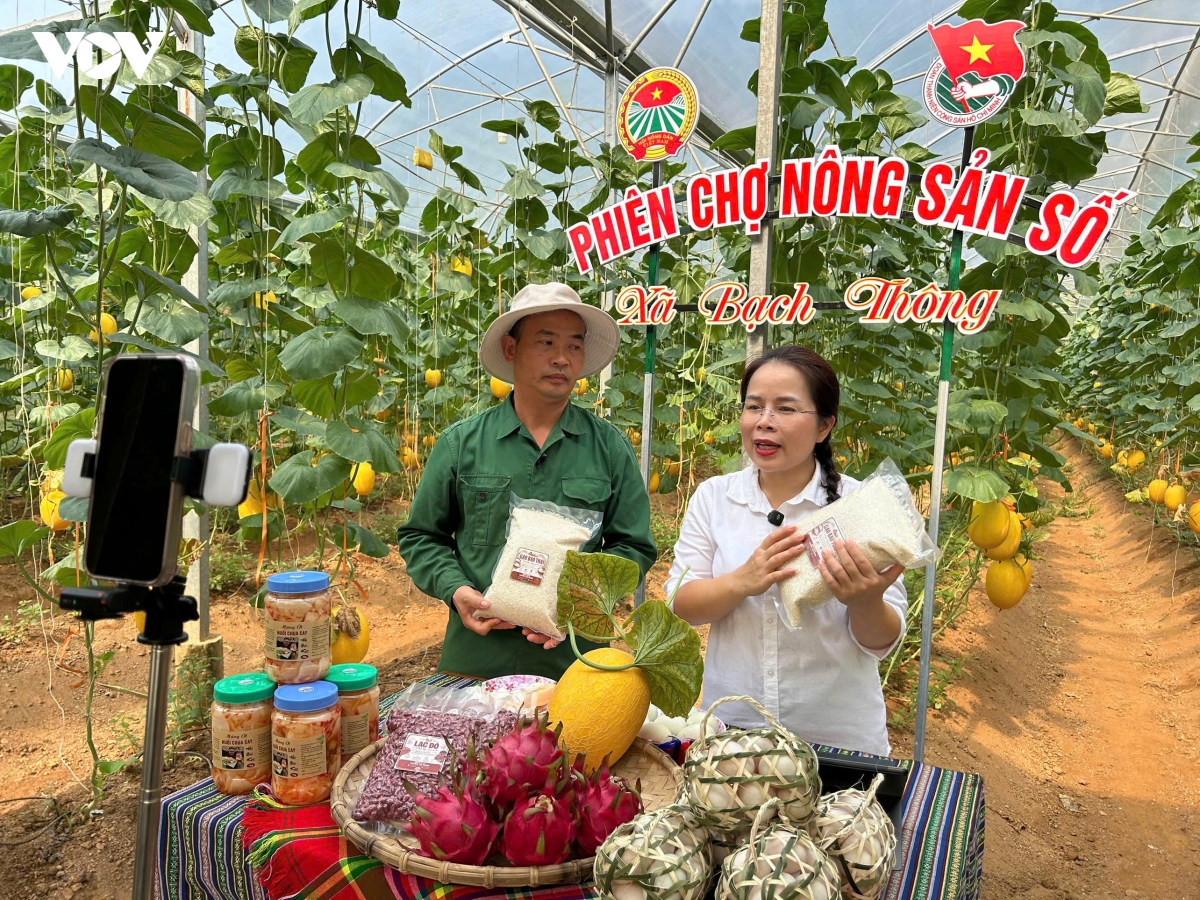 nu-bi-thu-dang-uy-xa-ma-thi-man-cung-nong-dan-livestream-gioi-thieu-quang-ba-san-pham-ngay-tai-vuon.jpg
