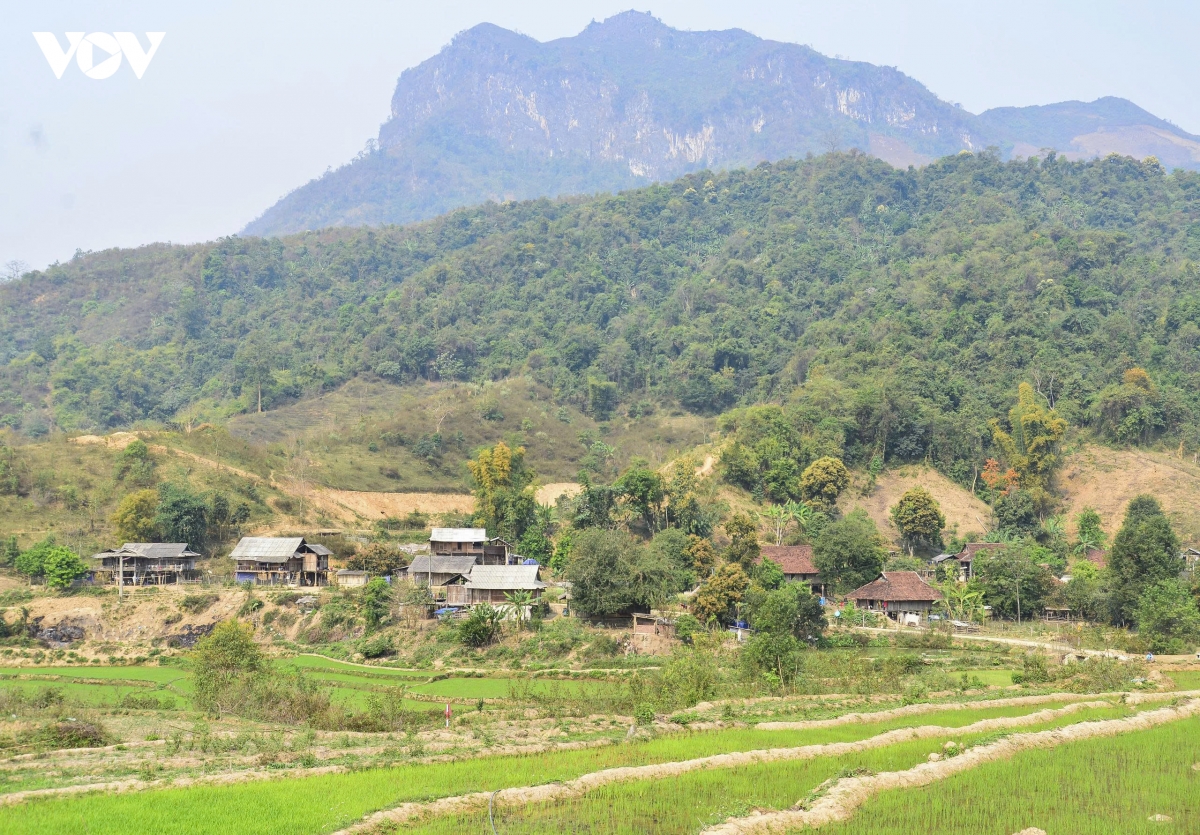 Với hơn 430.000 ha rừng, trong đó 98,4% là rừng tự nhiên, tỉnh Điện Biên đang có nhiều lợi thế để phát triển thị trường tín chỉ carbon rừng