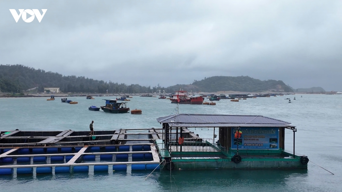 quang_ninh_khac_phuc_sat_lo_7_20260822215346.jpg
