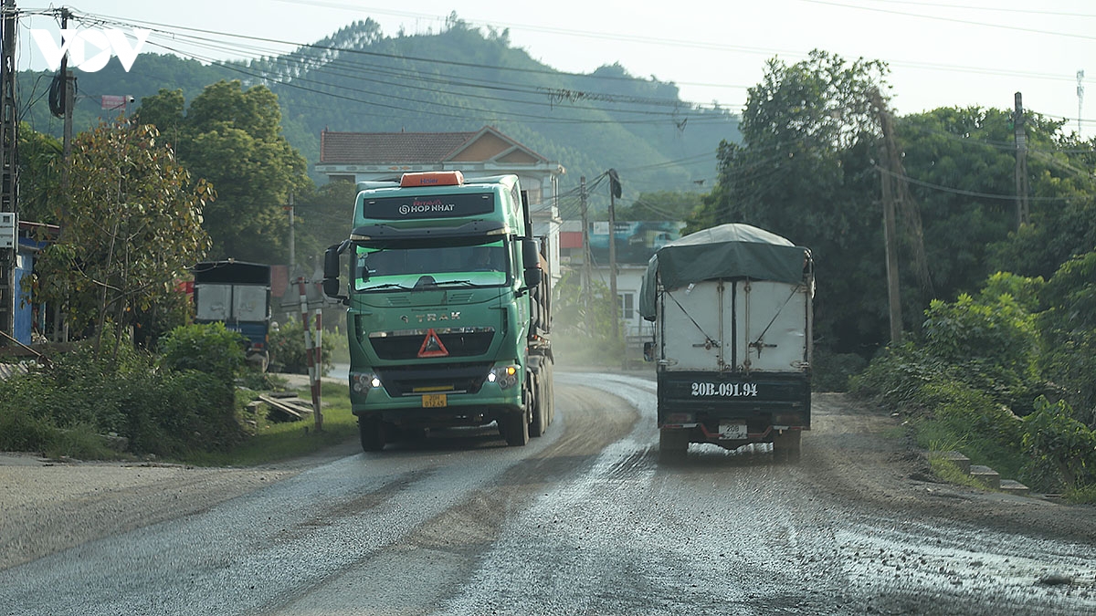 quoc-lo-1b-11.jpg