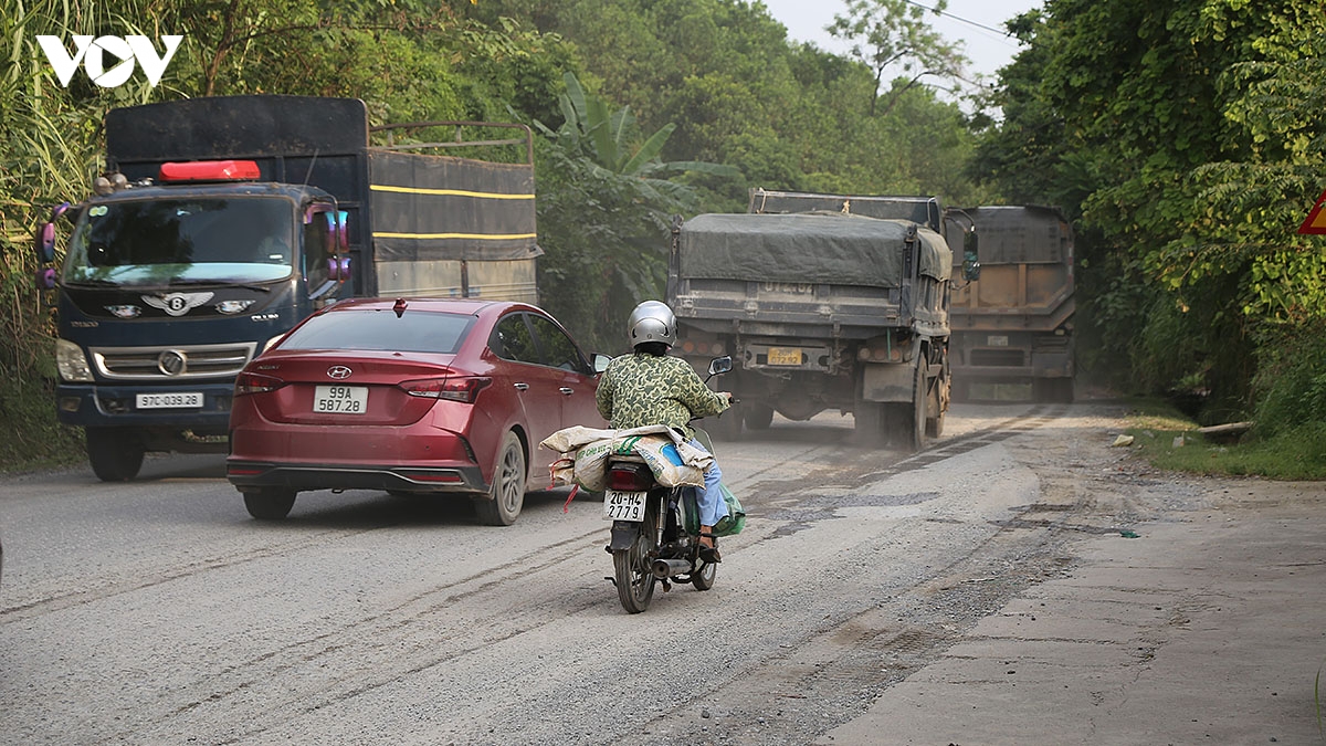 quoc-lo-1b-13.jpg