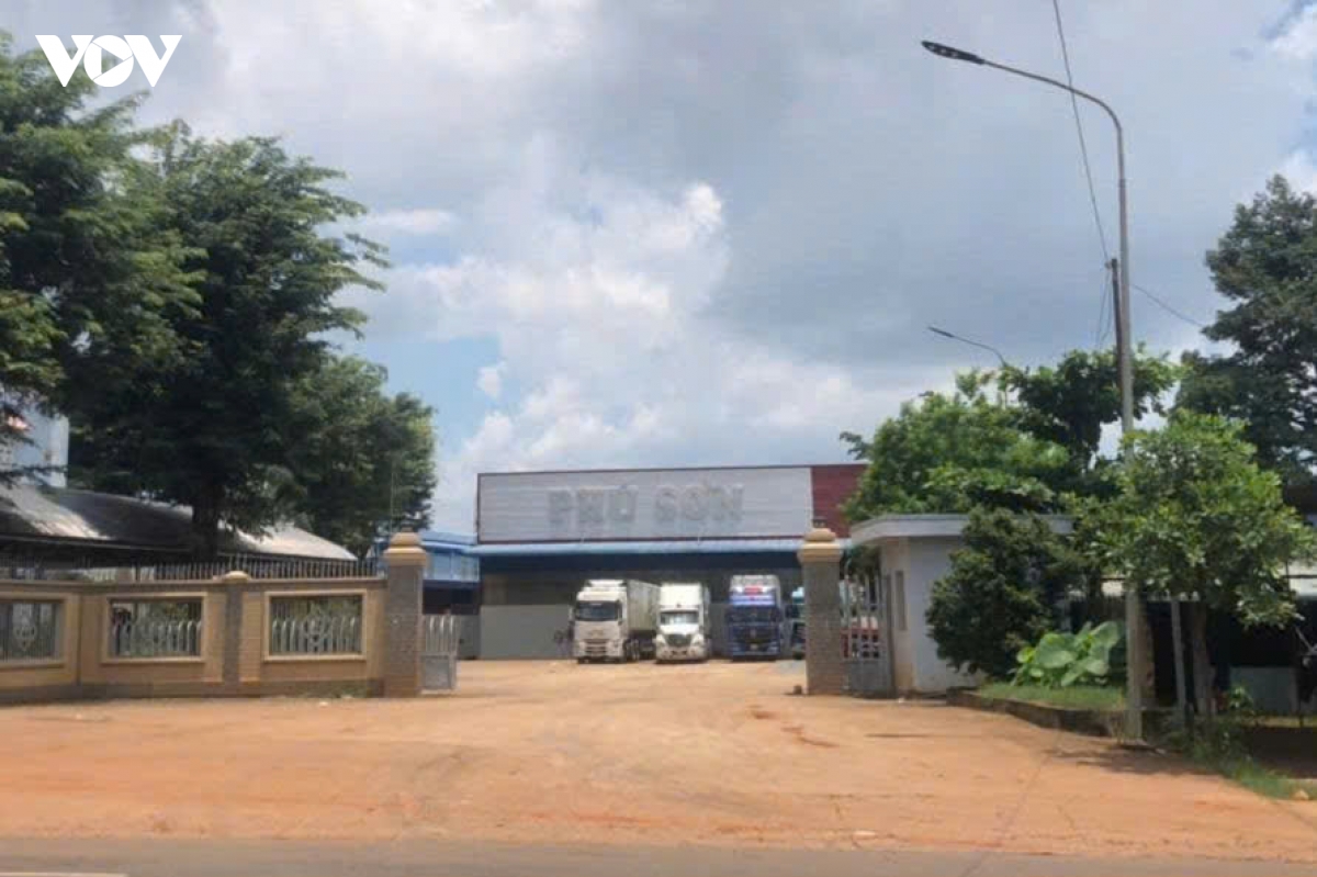 sau-rieng-.jpg