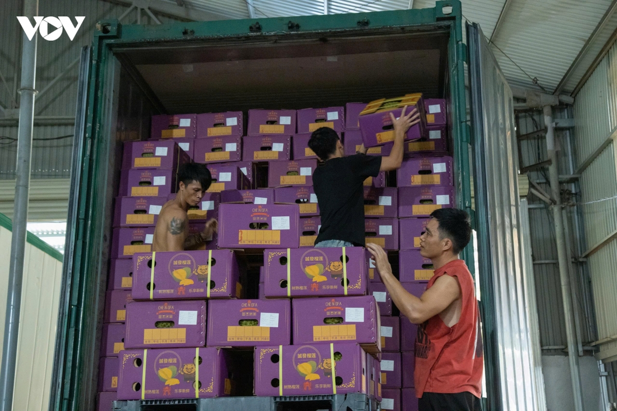 sau-rieng-dong-len-xe-con-chuan-bi-xuat-khau.jpeg