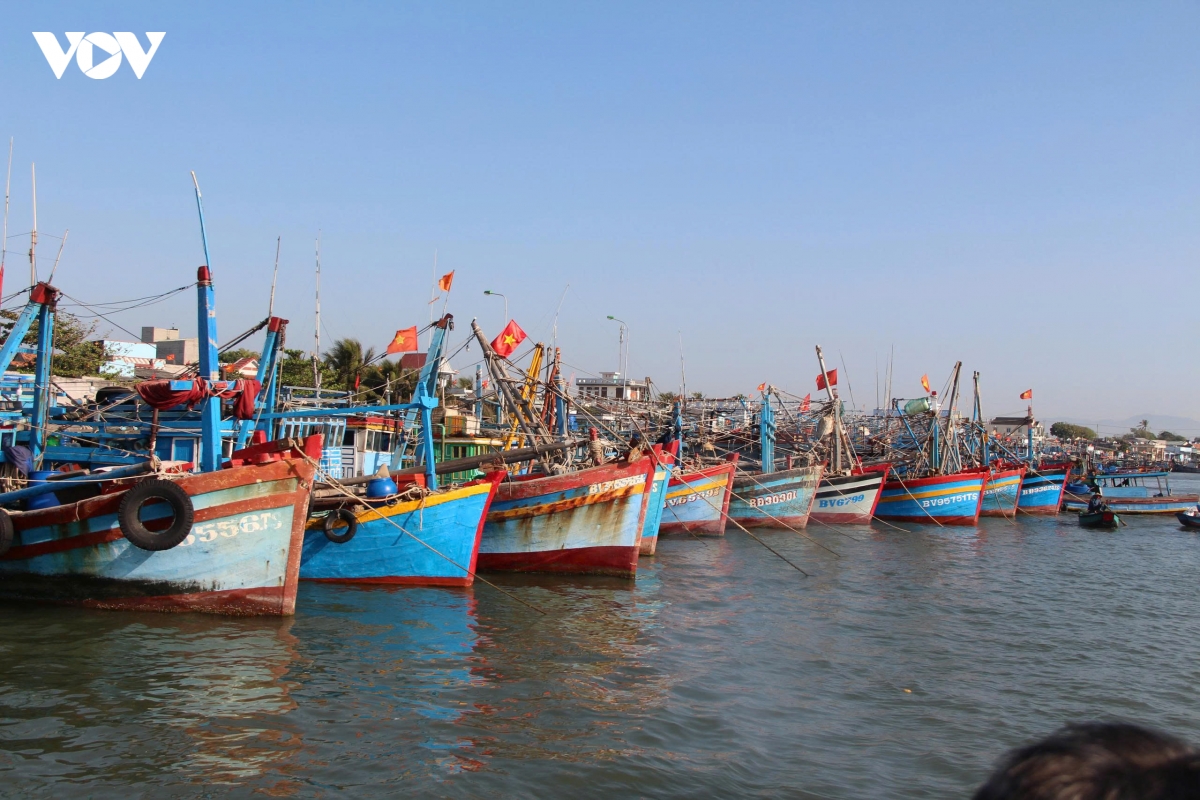tau-ca-iuu-1-.jpg