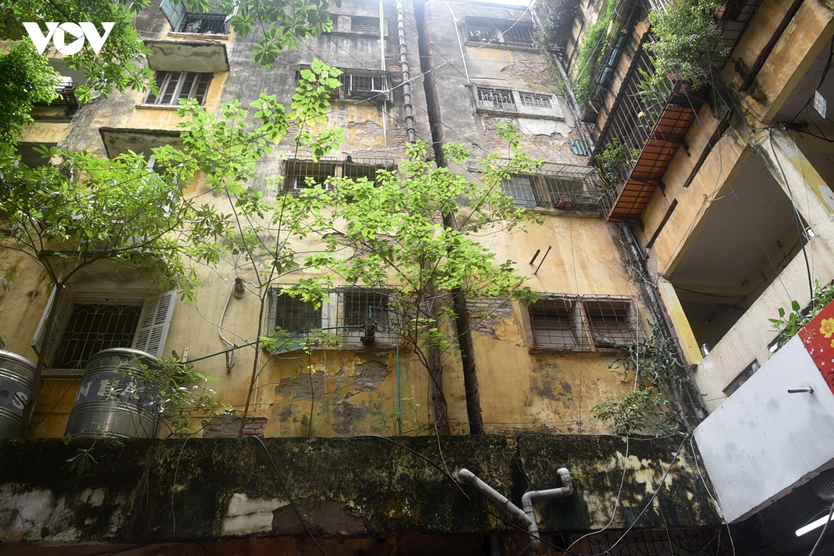 thanh-cong-16.jpg
