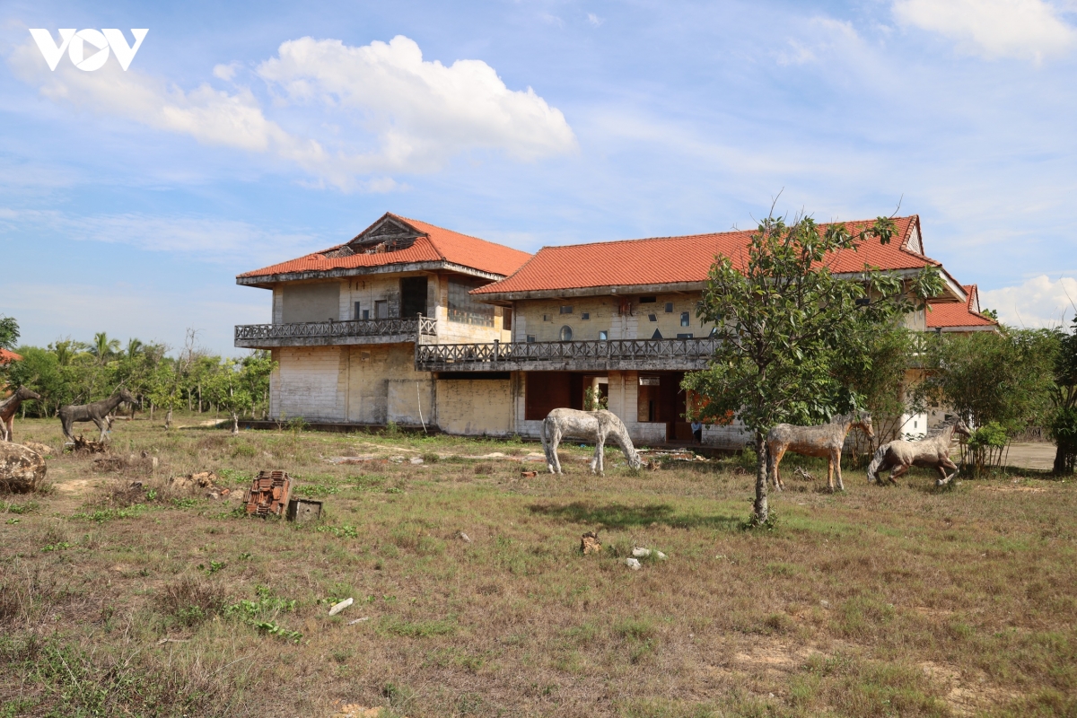 thien-dan-05.jpg
