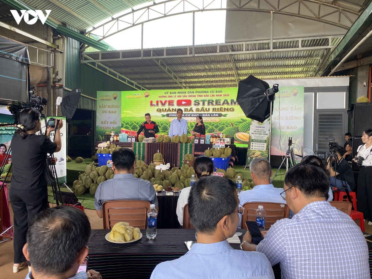toan-canh-phien-live.jpeg