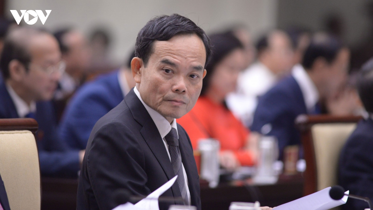 tran-luu-quang-3.jpg