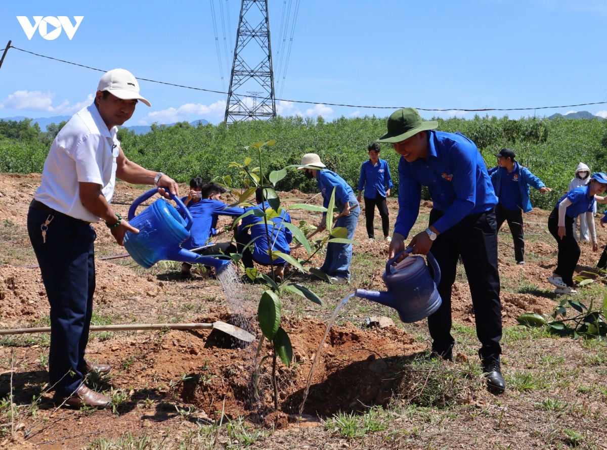 trong-cay-xanh-4.jpg