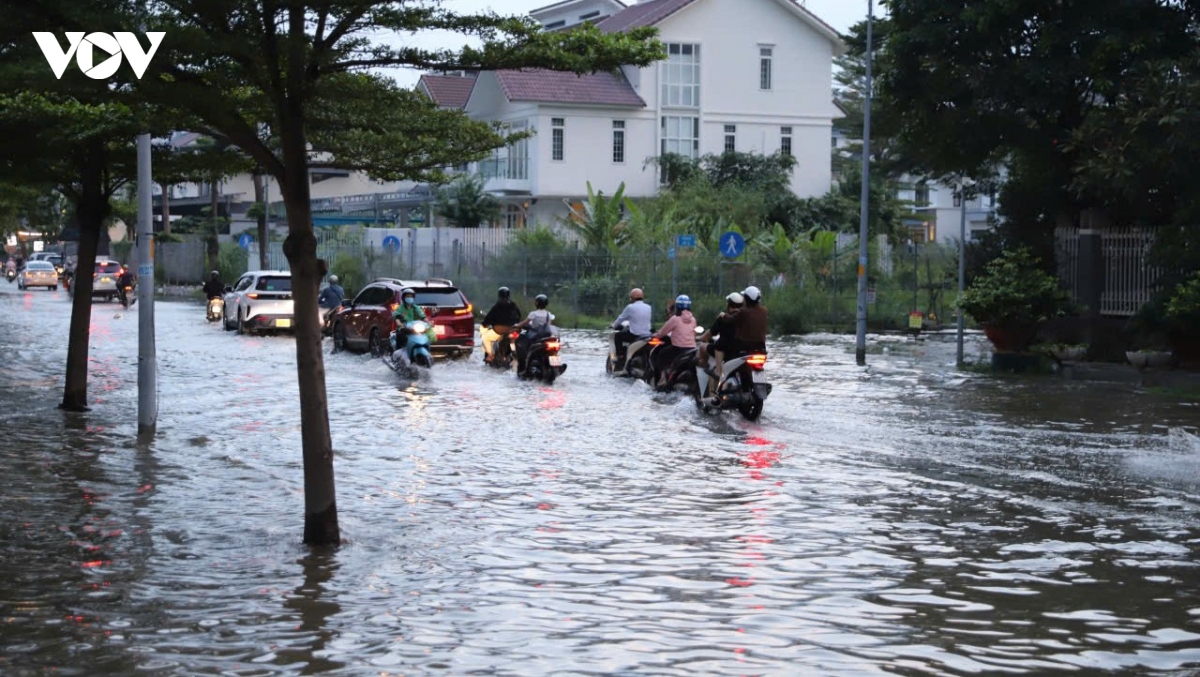 1790594225289_1779964960789034815_2707101145119778845_1481daa40bc99aeb3622b2e0b2098447.jpg