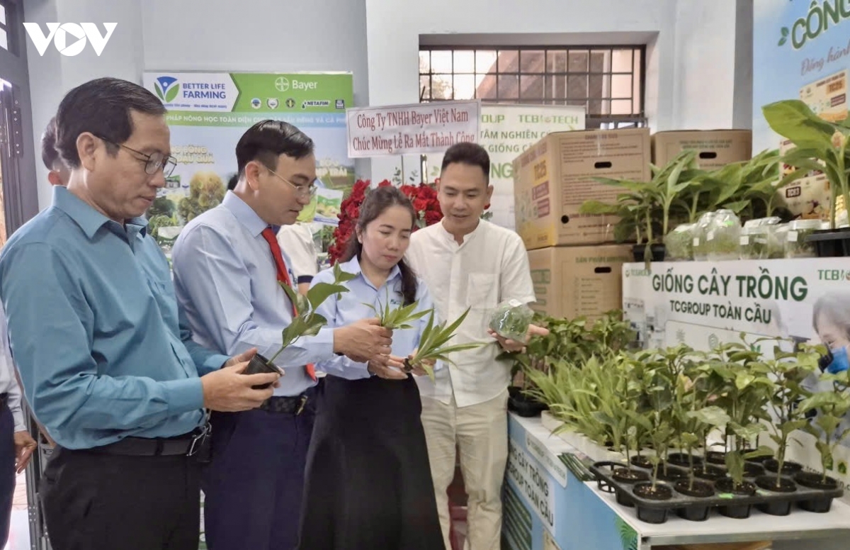 Điểm tư vấn là nơi kết nối nông dân, hợp tác xã, doanh nghiệp với các giải pháp kỹ thuật, công nghệ phù hợp.