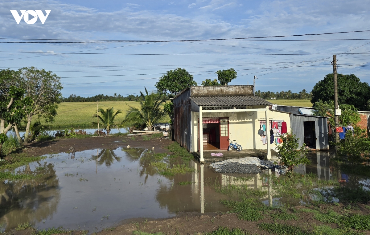 ca-mau-1.jpg