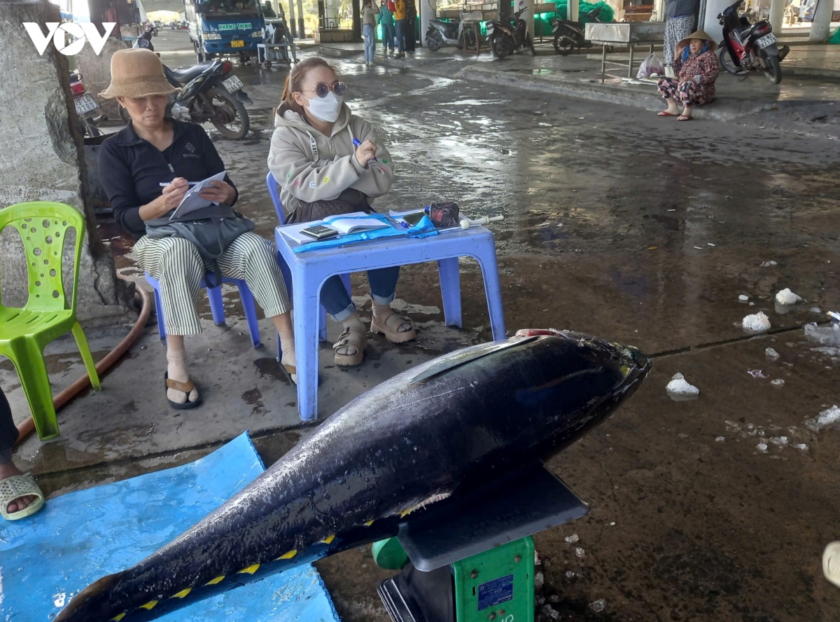 Thủy sản đánh bắt được ghi chép nhật ký, sản lượng 