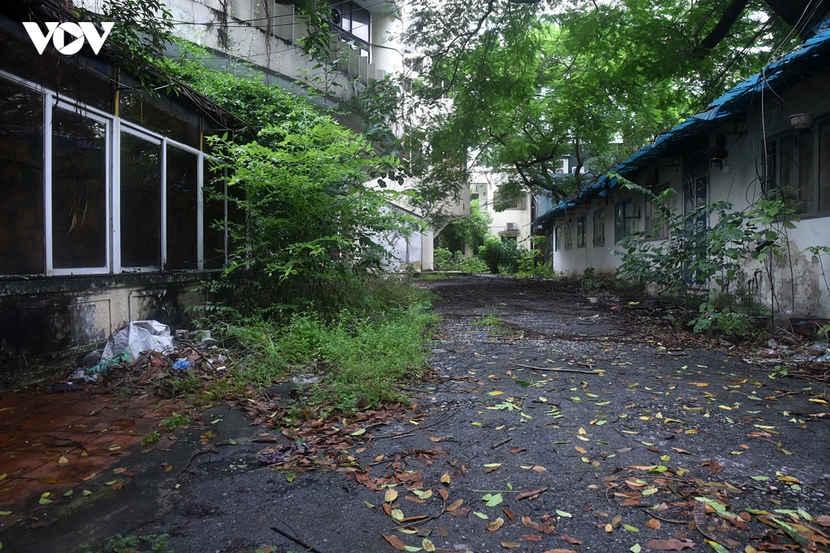 cung-thanh-nien-15.jpg