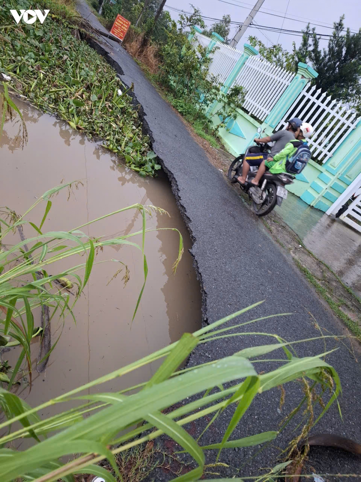 dong-thap-2.jpg