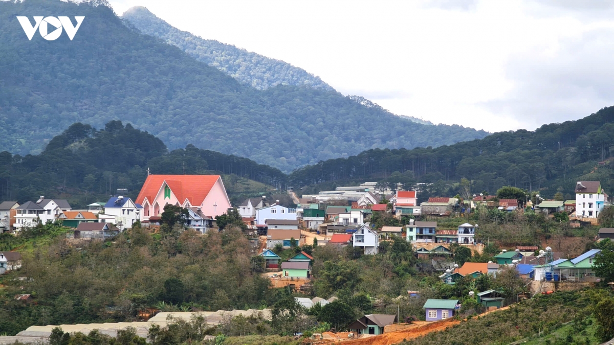 nguoi-co-uy-tin-gan-dao-voi-doi-o-lam-dong-2.jpg