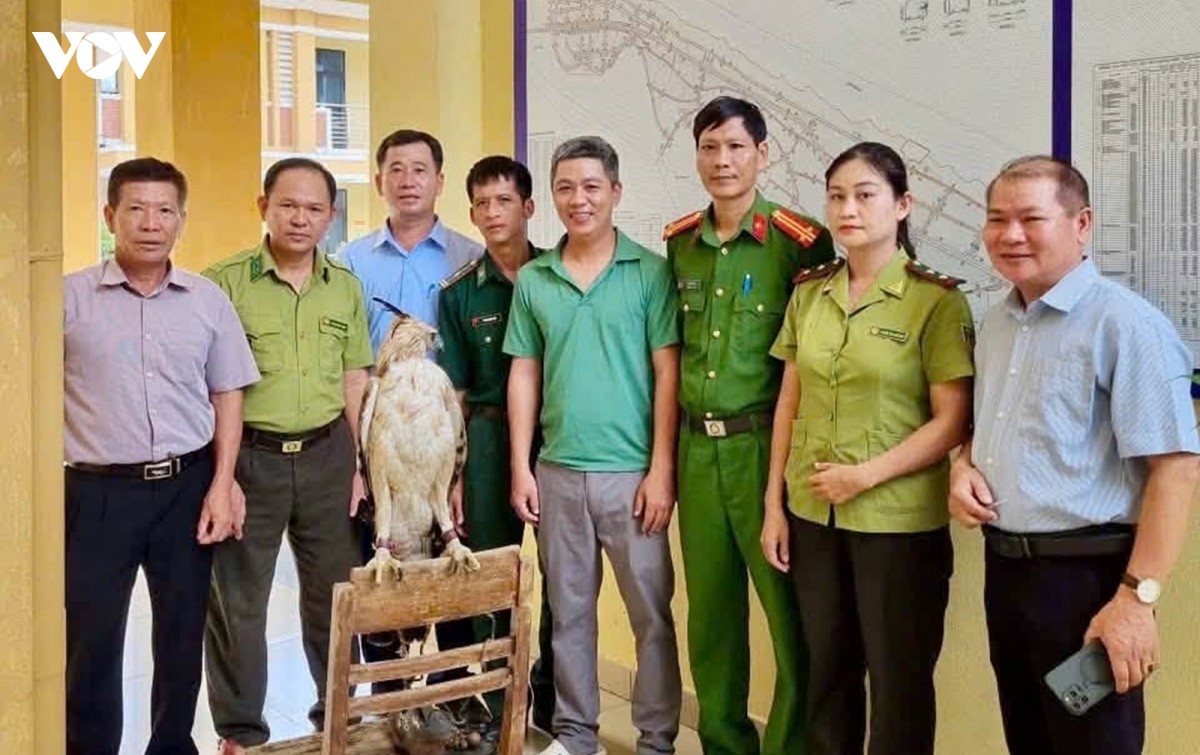 UBND phường Thuận An, thành phố Huế phối hợp với các lực lượng chức năng tiếp nhận một cá thể động vật hoang dã do người dân giao nộp