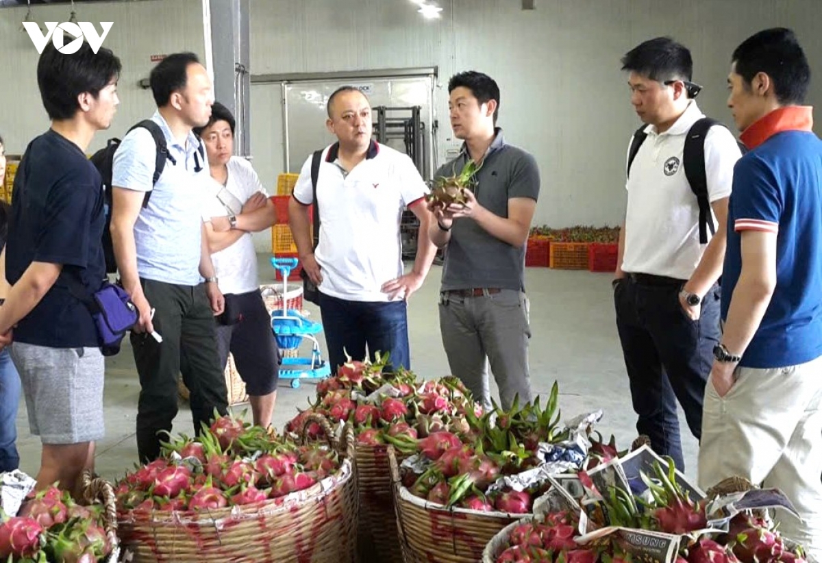 thi-truong-xuat-khau-4.jpg