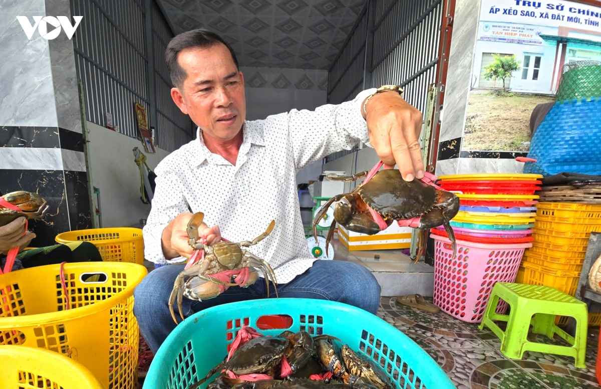 1-thit-cua-sinh-thai.jpg