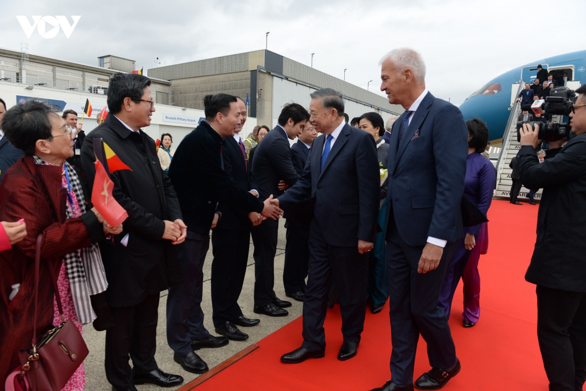 21-10_can-bo-nhan-vien-dai-su-quan-viet-nam-tai-bi-don-tong-bi-thu-chu-tich-nuoc-to-lam-va-phu-nhan-tai-san-bay.jpg
