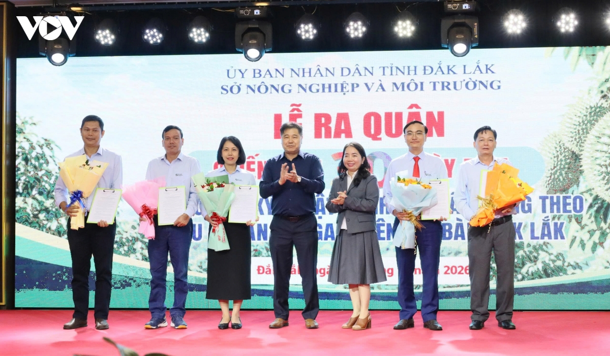 Đắk Lắk phát động chiến dịch 30 ngày chuẩn hóa canh tác sầu riêng VietGAP.