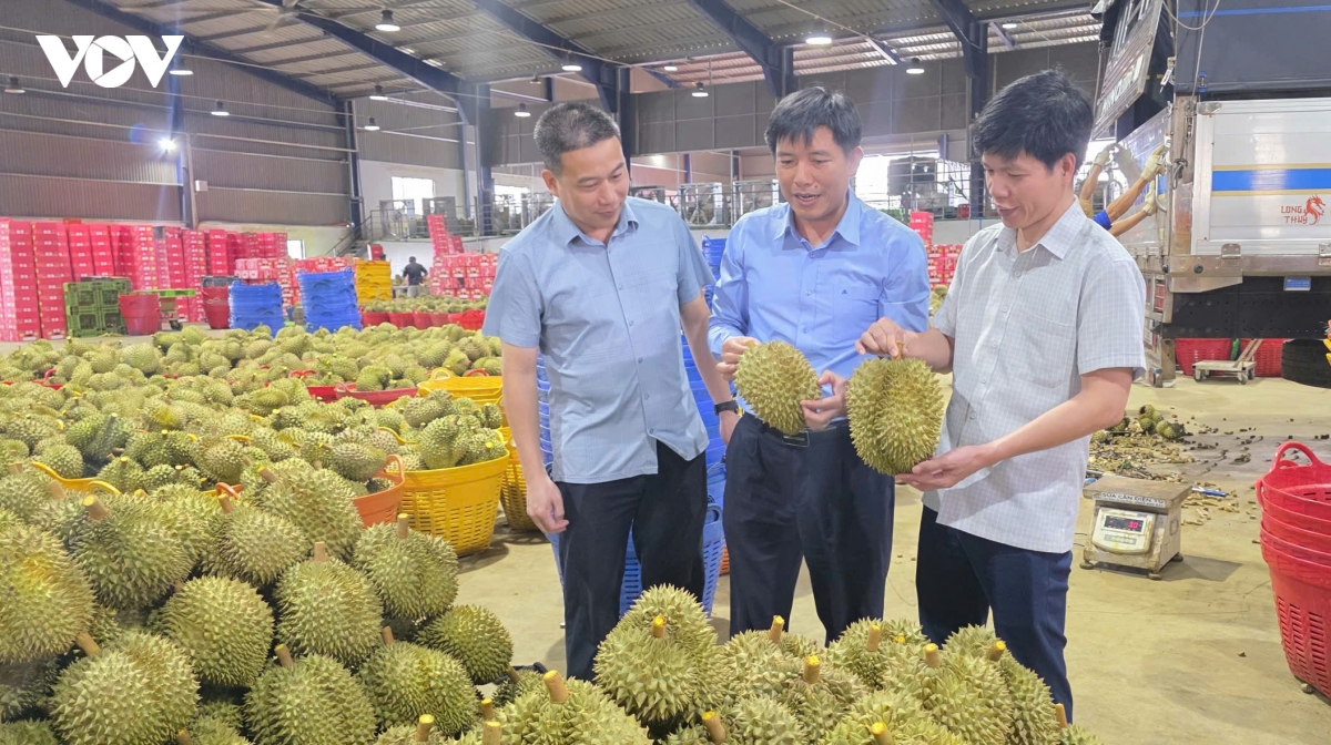 lam-dong-tu-cap-ma-den-giu-vung-ma-so-vung-trong-1.jpg