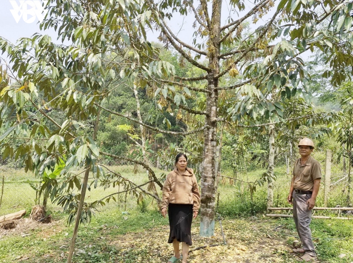 xsau-rieng.jpg