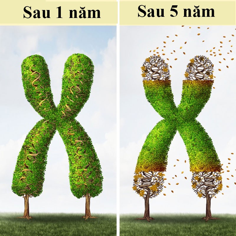 nhung dieu khong tuong se xay ra khi ban ngoi 8 tieng mot ngay hinh 8