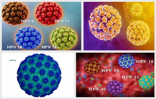 tai sao phu nu nen tiem vaccine ngua hpv? hinh 3