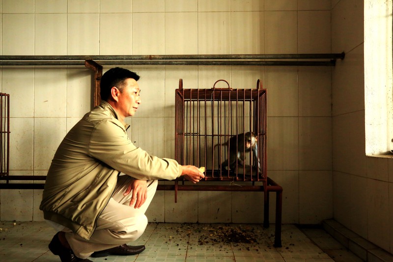 lang tham lam ban voi ….khi hinh 1