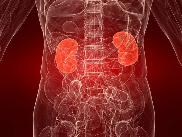 10 trieu chung cua benh lupus ban do  hinh 8