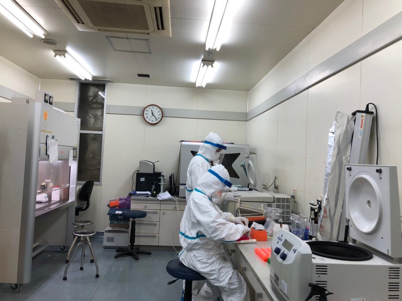 kit test nhanh khac kit pcr the nao? hinh 1