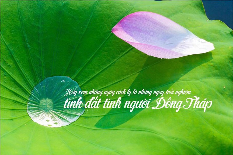 dong thap in logo gui thong diep "tinh dat, tinh nguoi" o khu cach ly hinh 2