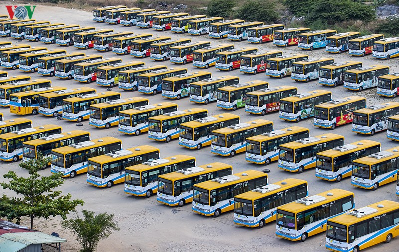 da nang tiep tuc dung cac hoat dong van tai cong cong hinh 1