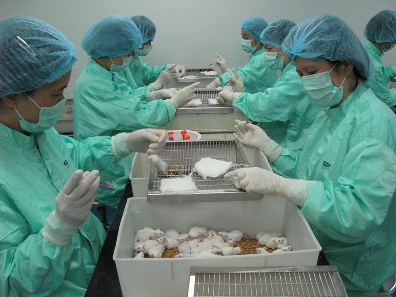 chuot thi nghiem khoe manh sau 10 ngay tiem vaccine ngua covid-19 hinh 2