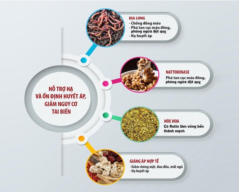 tren 80% nguoi bi tang huyet ap o viet nam chua duoc dieu tri hinh 3