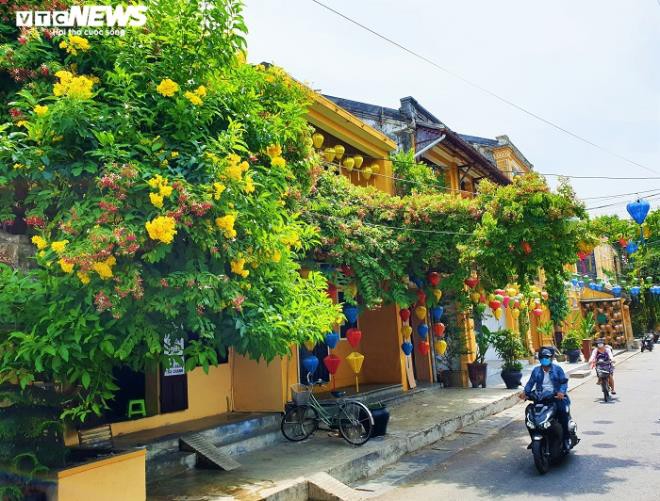 anh: pho co hoi an vang hoe truoc "gio g" thuc hien cach ly xa hoi hinh 1