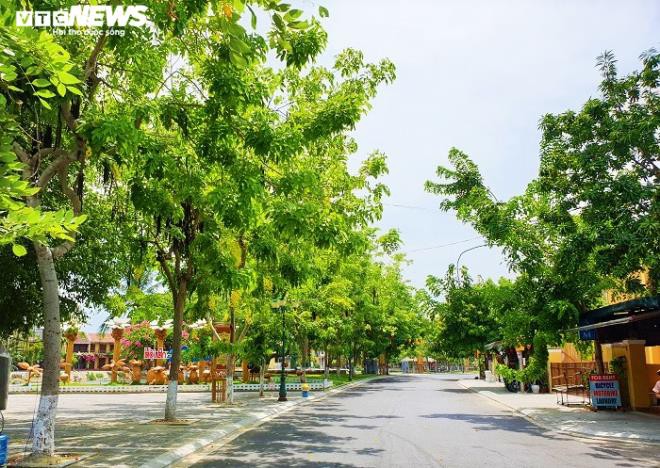 anh: pho co hoi an vang hoe truoc "gio g" thuc hien cach ly xa hoi hinh 3
