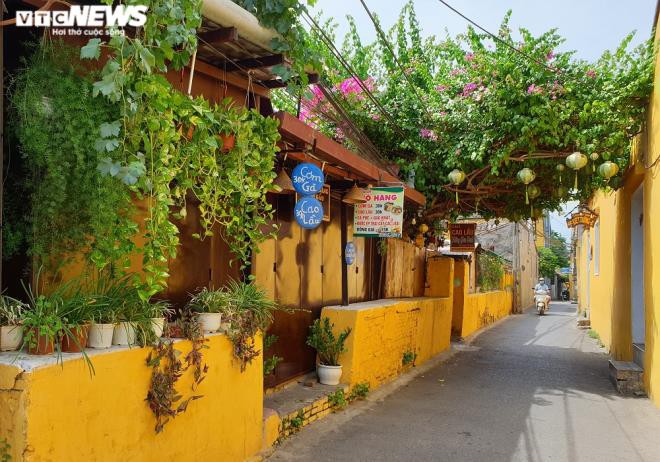 anh: pho co hoi an vang hoe truoc "gio g" thuc hien cach ly xa hoi hinh 4