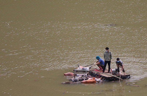 xu ly nghiem hanh vi vut xac lon chet ra song, suoi o van ban, lao cai hinh 1