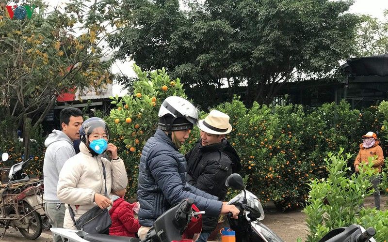 thoi tiet ngay 20/1: mien bac tiep tuc ret dam, co noi duoi 8 do c hinh 1