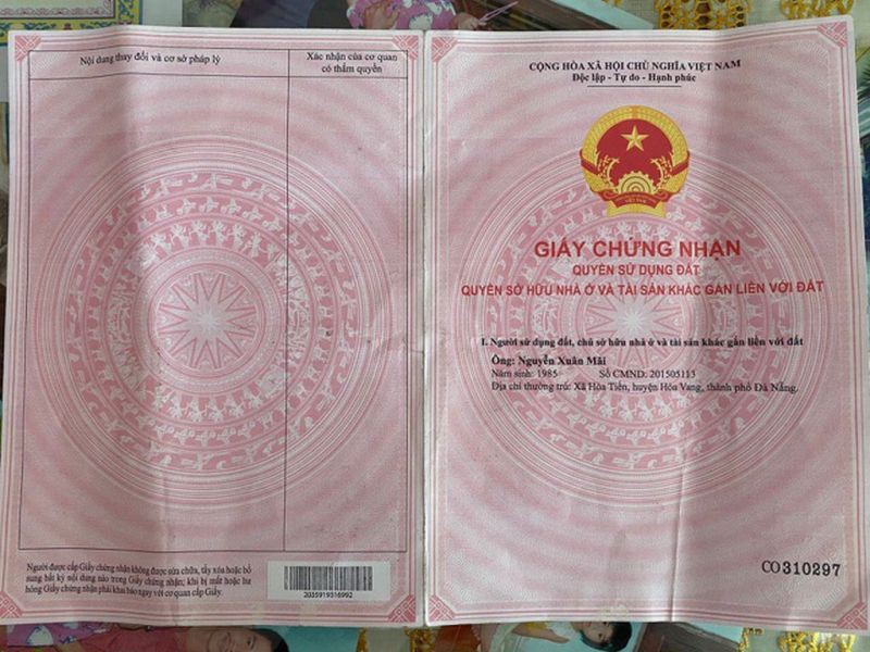 nong 24h: thu doan tinh vi lua ban hon 3.000m2 dat rung hinh 2