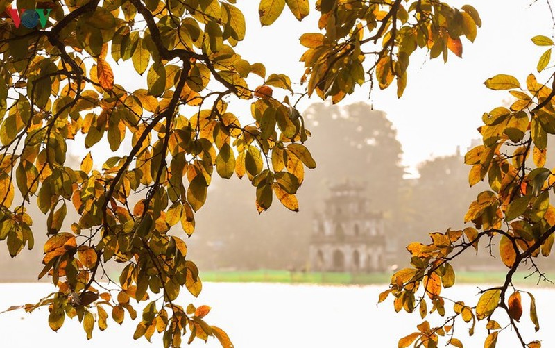 thoi tiet hom nay: mien bac nang am truoc khi don khong khi lanh hinh 1