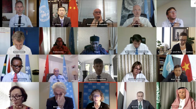 hoi dong bao an lien hop quoc hop ve tinh hinh yemen hinh 1