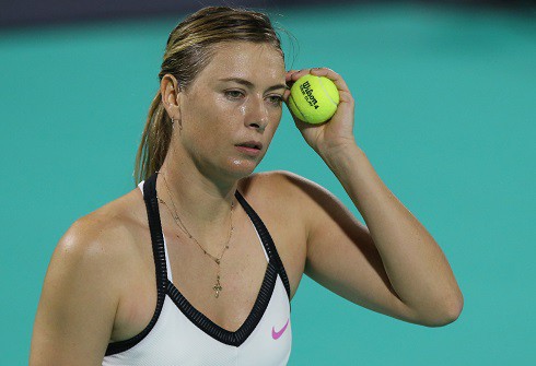 sharapova tham du australian open 2020 bang ve dac cach hinh 1