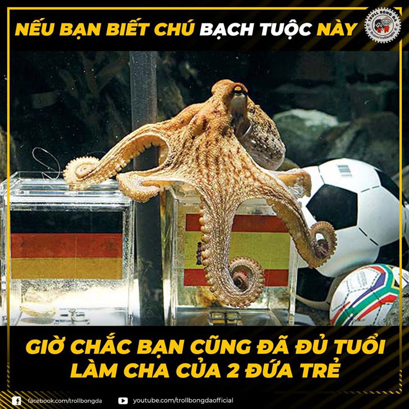 biem hoa 24h: sieu sao bong da the gioi "phat phi" vi covid-19 hinh 2