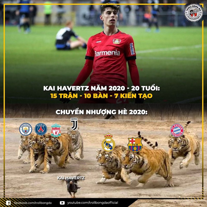 biem hoa 24h: qua bong vang viet nam 2019 goi ten ai? hinh 4
