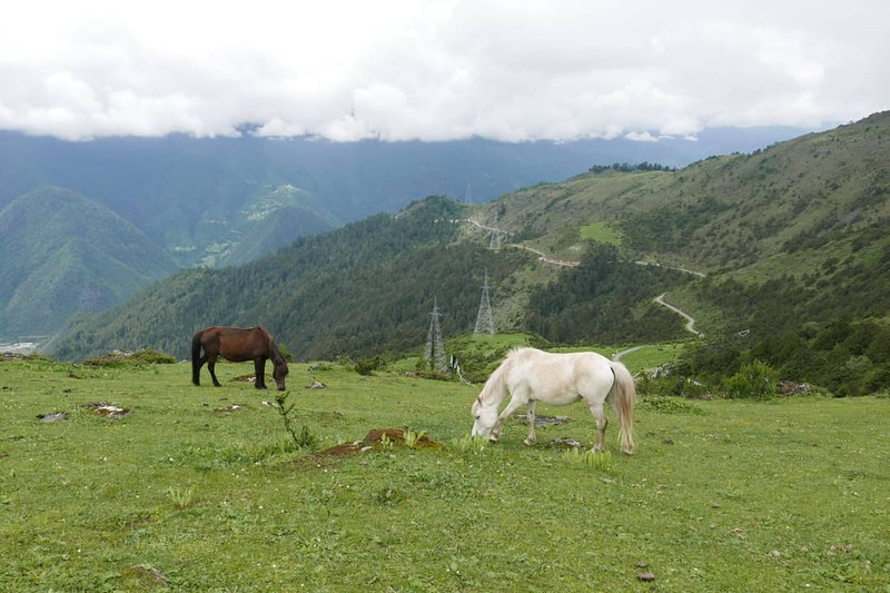 nhung su that thu vi ve dat nuoc hanh phuc bhutan hinh 11