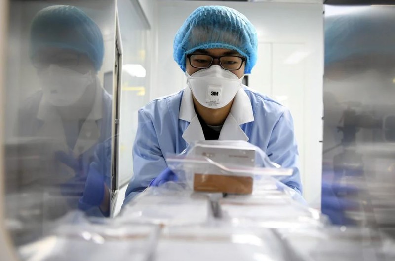 phat hien moi: virus corona co the tien hoa khi lay tu nguoi sang nguoi hinh 1